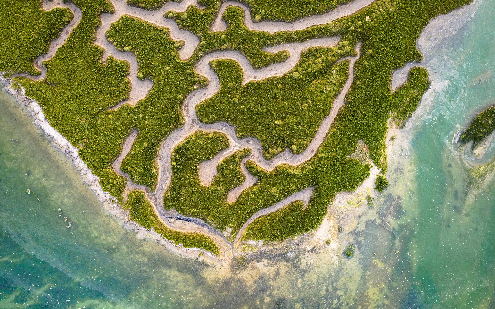 Bord de Rance, Côte d'Emeraude